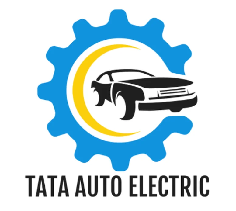 Tata Auto Electric